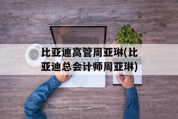 比亚迪高管周亚琳(比亚迪总会计师周亚琳)