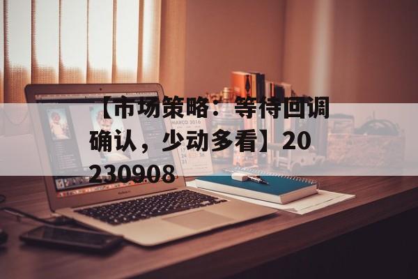 【市场策略：等待回调确认，少动多看】20230908