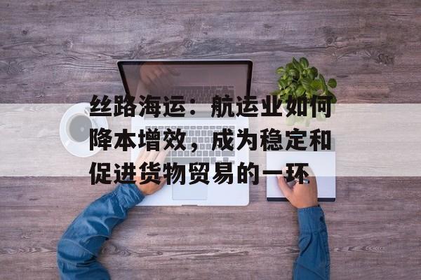 丝路海运：航运业如何降本增效，成为稳定和促进货物贸易的一环