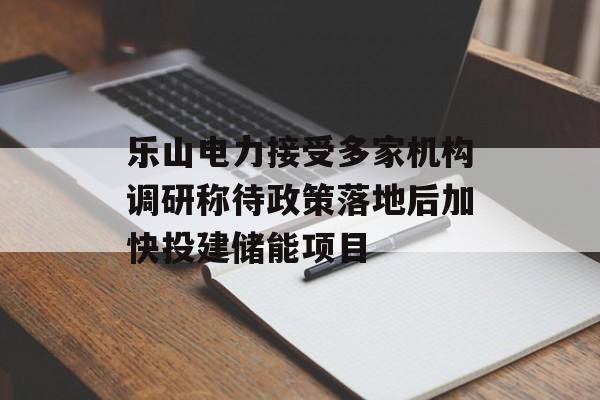 乐山电力接受多家机构调研称待政策落地后加快投建储能项目