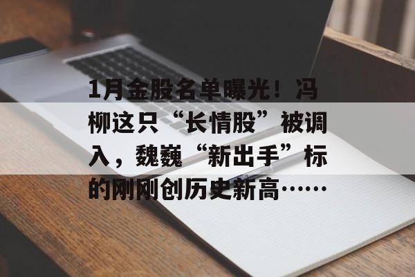 1月金股名单曝光！冯柳这只“长情股”被调入，魏巍“新出手”标的刚刚创历史新高……