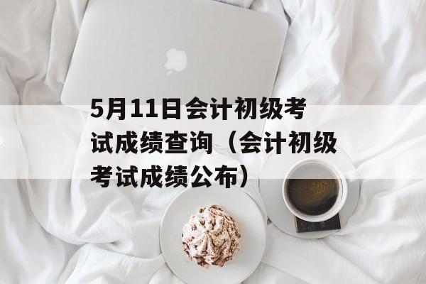 5月11日会计初级考试成绩查询（会计初级考试成绩公布）