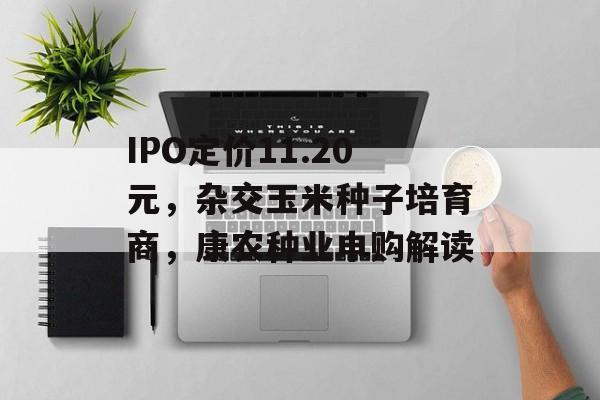 IPO定价11.20元，杂交玉米种子培育商，康农种业申购解读