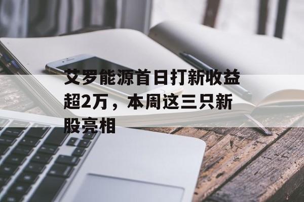 艾罗能源首日打新收益超2万，本周这三只新股亮相