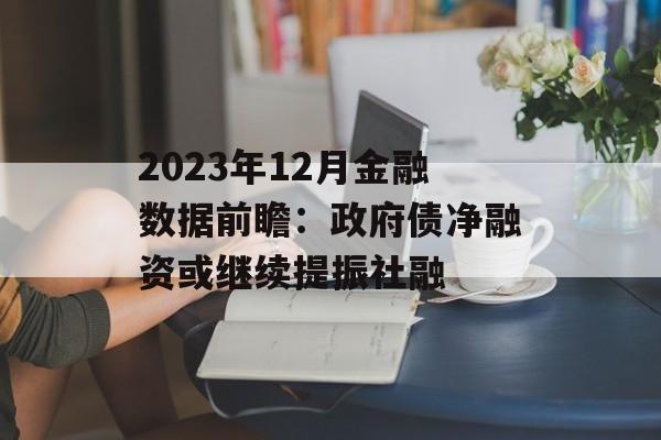 2023年12月金融数据前瞻：政府债净融资或继续提振社融