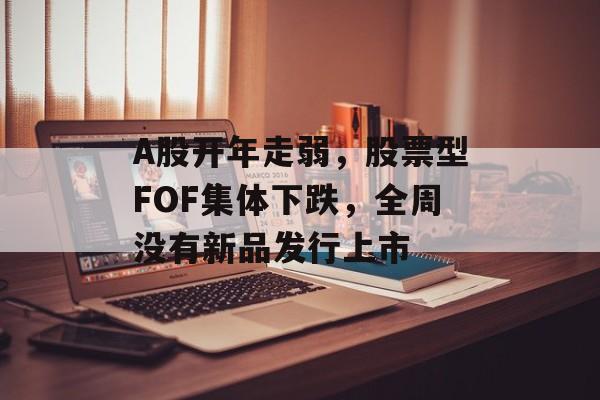 A股开年走弱，股票型FOF集体下跌，全周没有新品发行上市