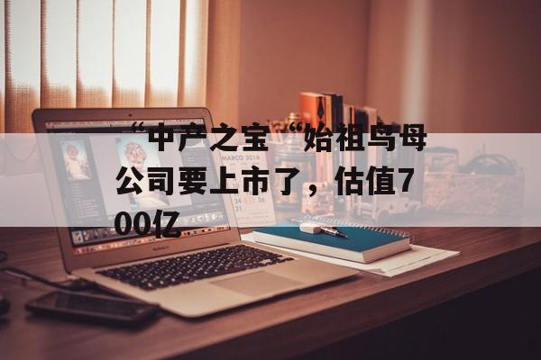 “中产之宝“始祖鸟母公司要上市了，估值700亿