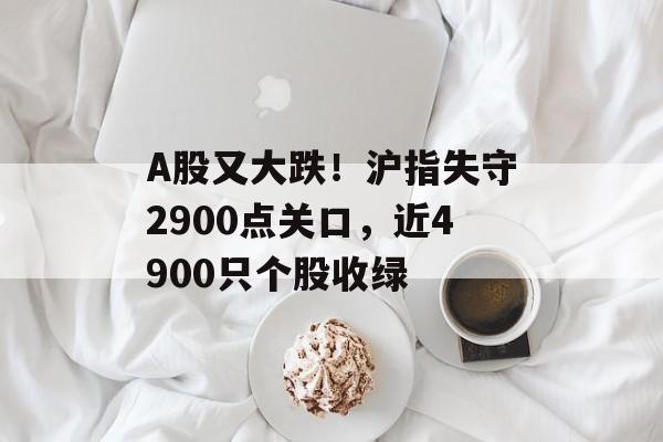 A股又大跌！沪指失守2900点关口，近4900只个股收绿