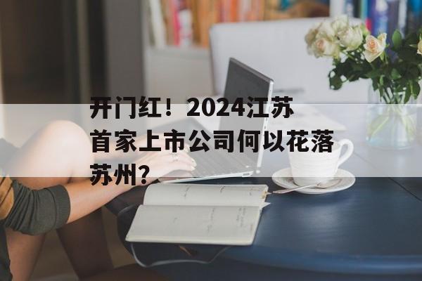 开门红！2024江苏首家上市公司何以花落苏州？