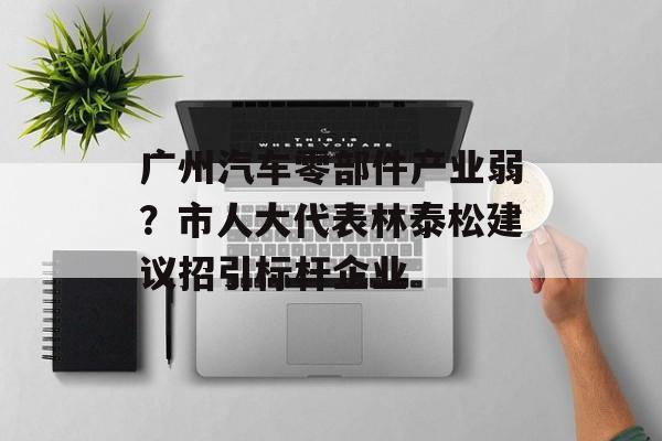 广州汽车零部件产业弱？市人大代表林泰松建议招引标杆企业